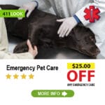 Emergency Pet Care Coupon