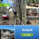 Mountain View Forestry