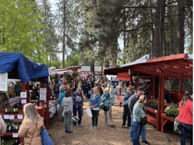 Your Guide to Coeur d’Alene’s Summer Farmers Markets: Where and When to Go